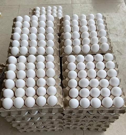 Fresh Table Eggs, for Bakery Use, Human Consumption, Packaging Type : Tray, Box