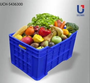 UCH-5436300 Fruit & Vegetable Crate, Style : Mesh