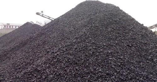 Coal Fines, for High Heating, Steaming, Purity : 99%