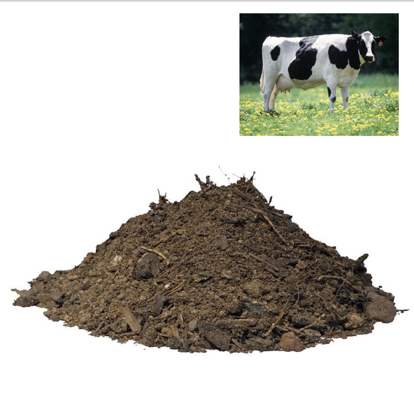 Cow Dung Fertilizer, for Agriculture, Standard : Bio Grade