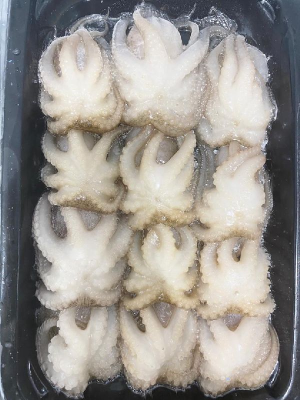 Frozen Octopus