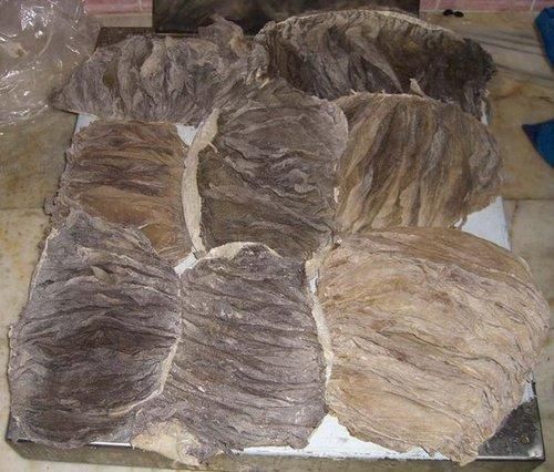 Dried Salted Buffalo Omasum