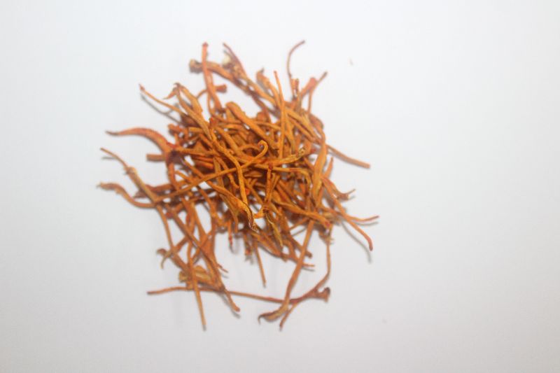 Cordyceps Militaris  (Dried Fruiting Body Bulk Pack- with 6mg/gram Cordycepin)