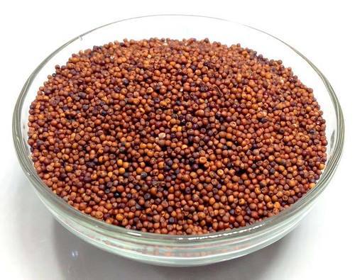 Organic Finger Millet Seeds, for Cattle Feed, Cooking, Packaging Type : Plastic Bag