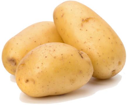 Fresh potato, Color : Yellow