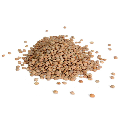 Whole Red Lentils, for High In Protein, Packaging Size : 5-25 Kg