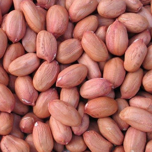 Peanut kernels, Shelf Life : 6 Months