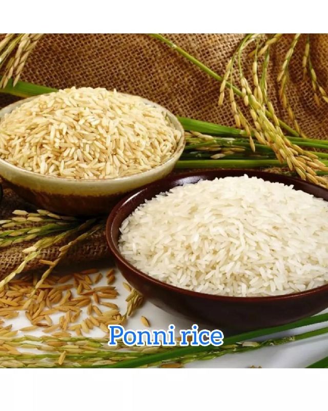 Organic Ponni Rice, for Human Consumption, Certification : FSSAI Certified