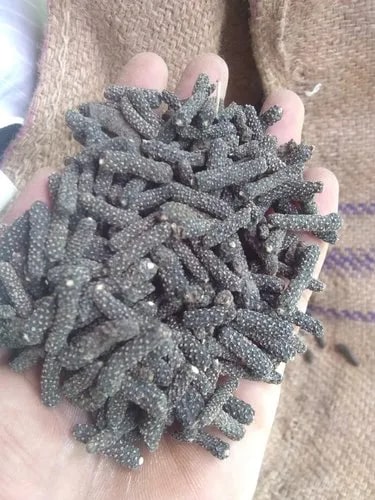 Organic Long Pepper