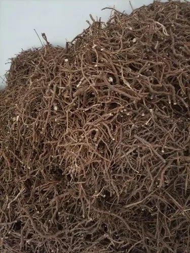 Organic Piper Longum Roots, for Medicinal, Style : Dried