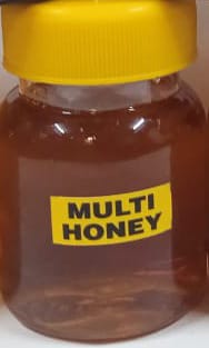 Multiflora Honey, for Foods, Form : Gel