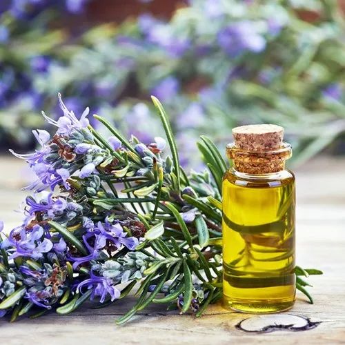 Rosemary oil, Feature : 100% Natural Herbal