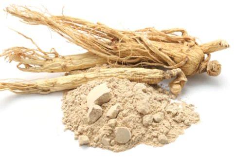 Organic Shatavari Root Powder