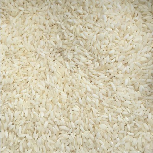 Short Grain Basmati Rice