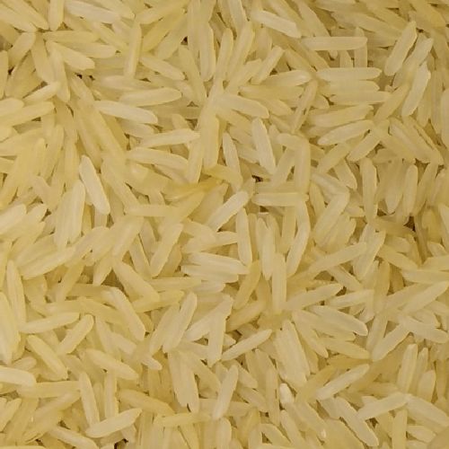 sugandha golden sella rice