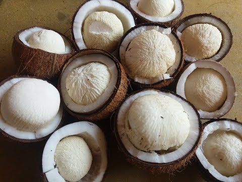 Natural Coconut Flowers, for Human Consumption, Packaging Size : 30kg