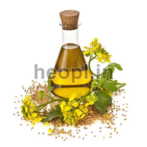 Cumin Oil, Feature Good For Skin, Good Quality, Maintain Blood