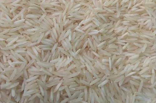 Organic Sharbati Non Basmati Rice, Variety : Long Grain
