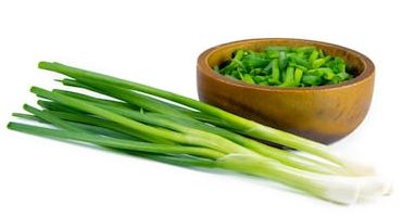 Fresh Scallion Onion