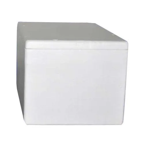 Normal EPS Thermocol box, Color White at Rs 100 / Piece in Uttar