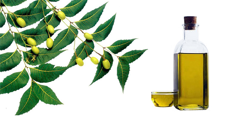 Neem Hair Oil