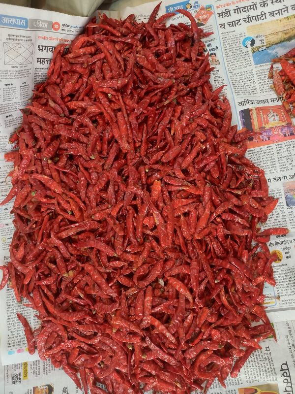 Natural dried red chilies, for Cooking, Packaging Size : 10 Kg