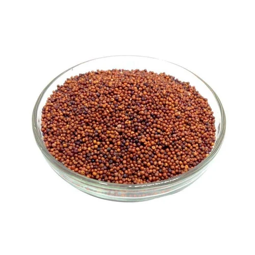Natural Finger Millet Seeds at best price in Ahmedabad Gujarat from LM