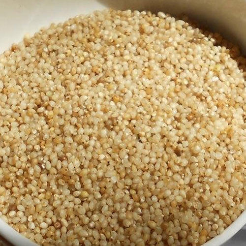Natural Kodo Millet Seeds, for Cooking, Feature : Gluten Free