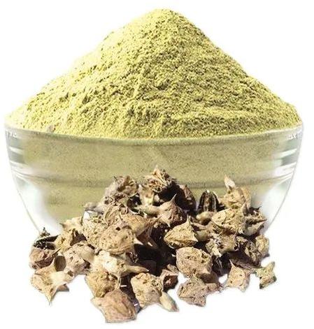 Gokhru Powder, for Medicinal Use, Grade : Medicine Grade