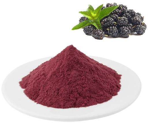 Organic Spray Dried Blackberry Powder, for Food Products, Packaging Type : Plastic Packet