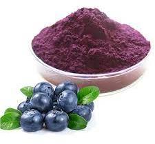 Organic Spray Dried Blueberry Powder, Packaging Type : Plastic Packet