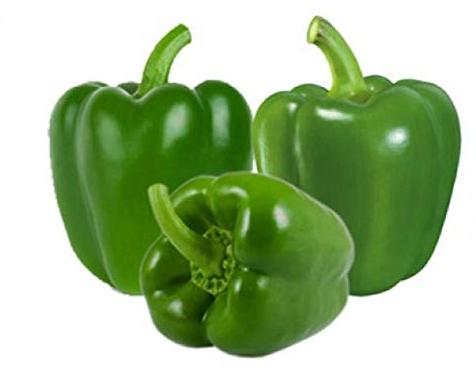 Round Fresh Green Capsicum, for Cooking, Style : Natural