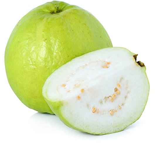 Round Organic Fresh Guava, for Human Consumption, Color : Green