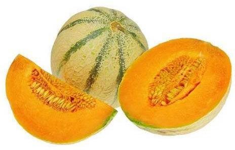 fresh muskmelon