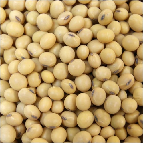 Organic soybean seeds, Style : Dried