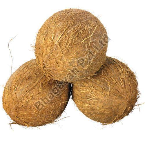 Raw Coconut, Color : Brown