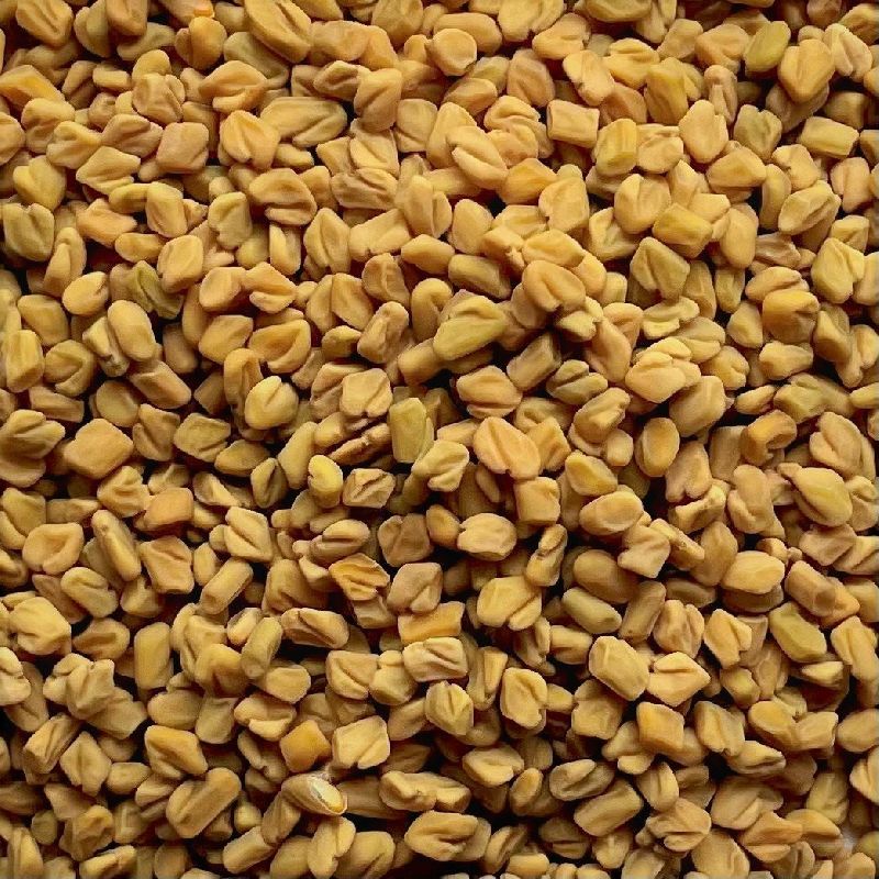 Organic fenugreek seeds, Packaging Type : Plastic Packet