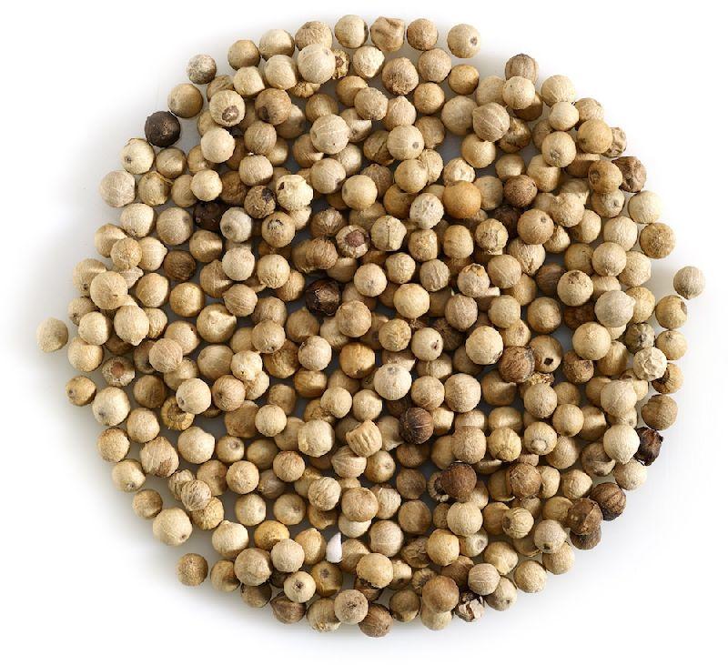 Raw Organic white pepper seeds, Feature : Improves Digestion, Packaging Type : Plastic Packet