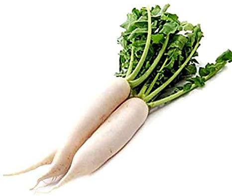 Organic Radish, for Cooking, Color : White
