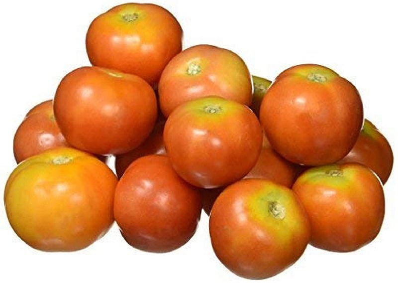 Organic Tomato, for Cooking, Salad, Packaging Size : 20-30kg
