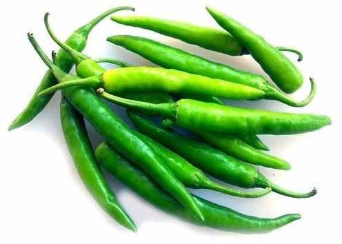 Fresh Green Chilli, for Good Nutritions, Good Health, Hygienically Packed