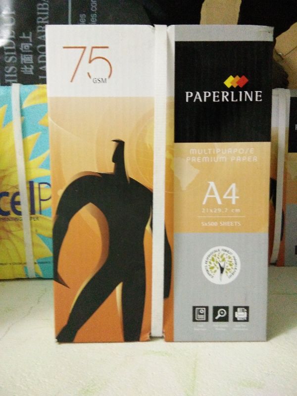 Paperline 75 GSM Copier Paper at best price INR 150 / Boxes in
