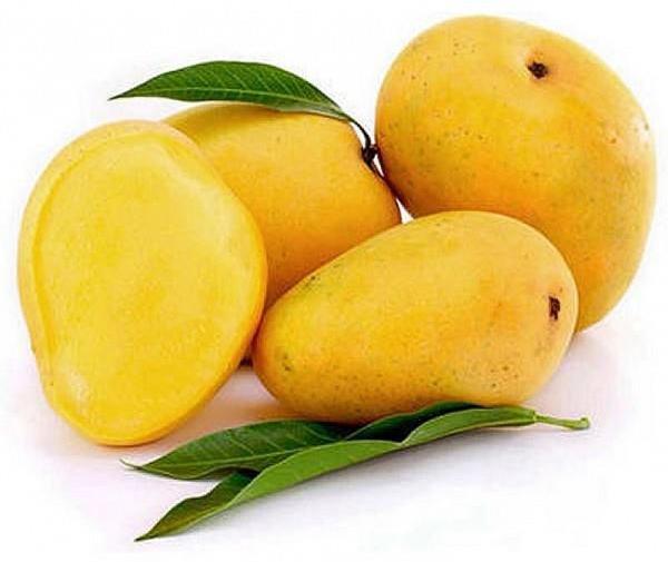 Fresh Alphonso Mango