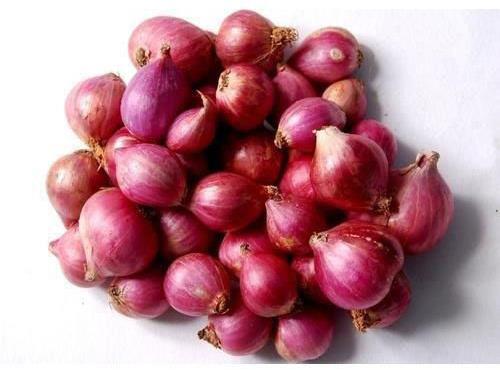 Fresh Small Onion