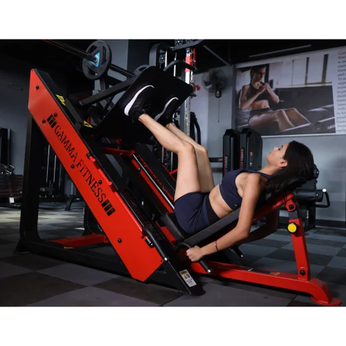 Leg Press Hammer Gamma Industries, Jalandhar