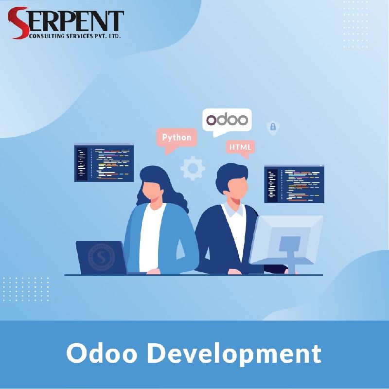 ERP software development service