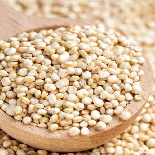Bold Quinoa Seeds, Purity : 100%