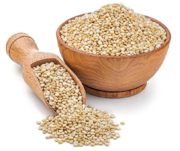 Quinoa seeds, Feature : Fat Free, Gluten Free