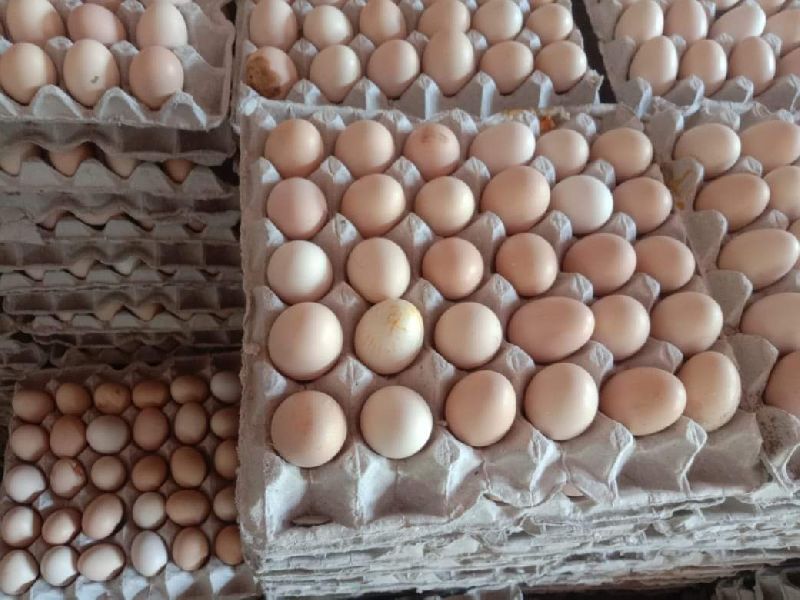 Daulat Farms Free Range Brown Egg, Style : Fresh