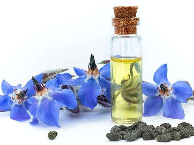 Borage Seed Oil